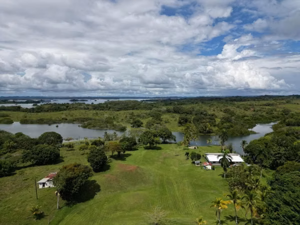 Se vende hermosa finca en la arenosa de la chorrera  5 hectáreas. 1.3 M