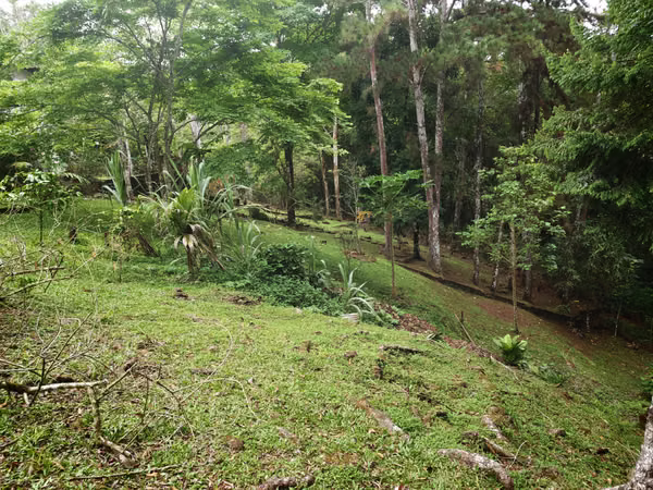 For Sale Beautyful House in Cerro Azul Las NUBES