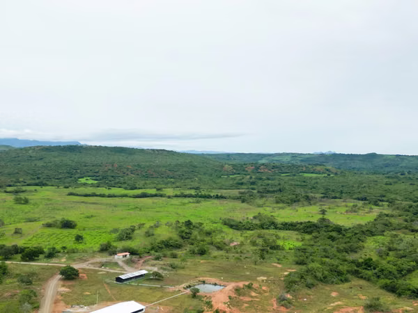 Farms for sale in Calobre and San Francisco, Veraguas, 700 hectares