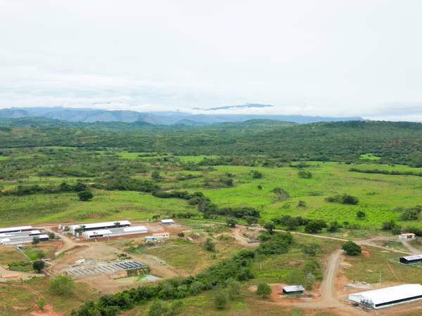 Farms for sale in Calobre and San Francisco, Veraguas, 700 hectares