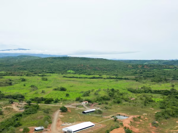 Farms for sale in Calobre and San Francisco, Veraguas, 700 hectares