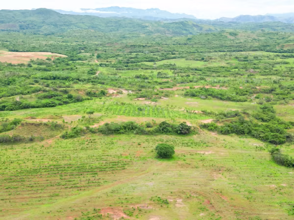 Farms for sale in Calobre and San Francisco, Veraguas, 700 hectares