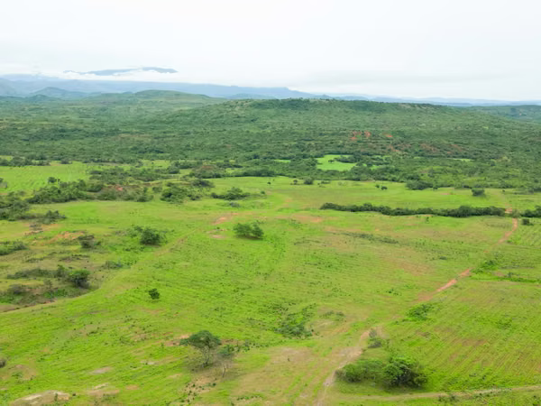 Farms for sale in Calobre and San Francisco, Veraguas, 700 hectares