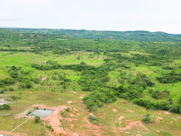 Farms for sale in Calobre and San Francisco, Veraguas, 700 hectares