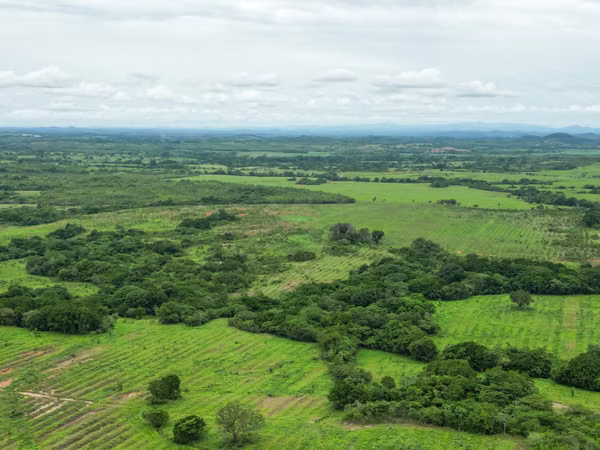 Farms for sale in Calobre and San Francisco, Veraguas, 700 hectares