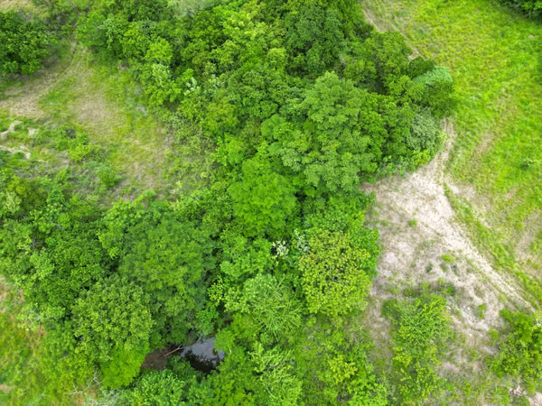 Farms for sale in Calobre and San Francisco, Veraguas, 700 hectares