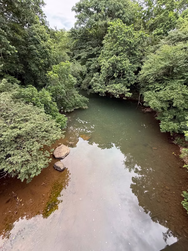 Farms for sale in Calobre and San Francisco, Veraguas, 700 hectares