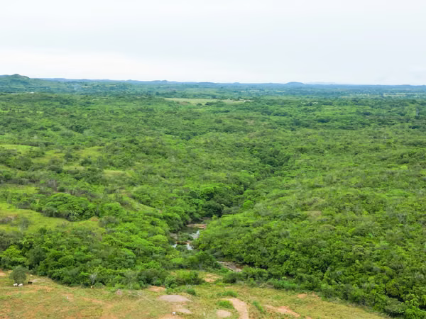 Farms for sale in Calobre and San Francisco, Veraguas, 700 hectares