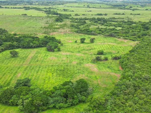 Farms for sale in Calobre and San Francisco, Veraguas, 700 hectares