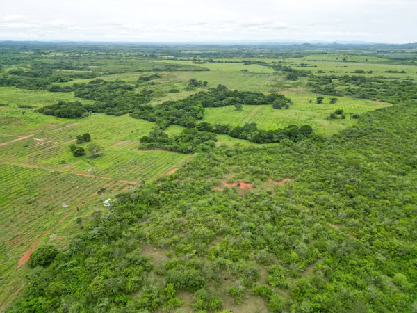 Farms for sale in Calobre and San Francisco, Veraguas, 700 hectares