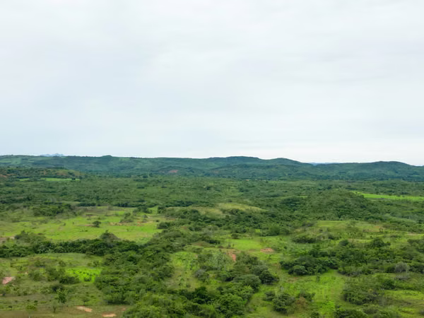 Farm for sale in Calobre, Veraguas, 500 hectares