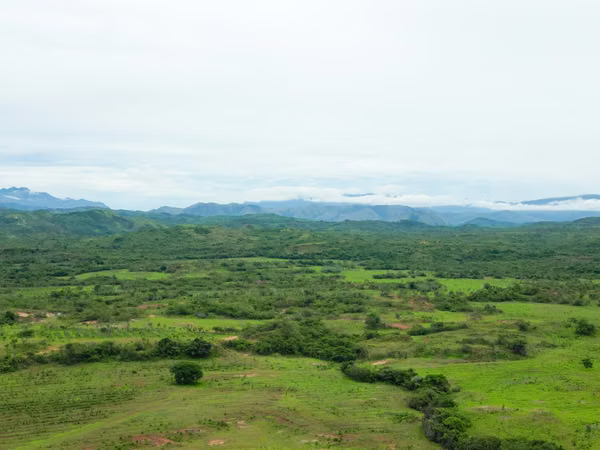 Farm for sale in Calobre, Veraguas, 500 hectares