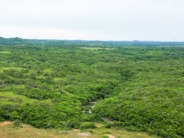 Farm for sale in Calobre, Veraguas, 500 hectares