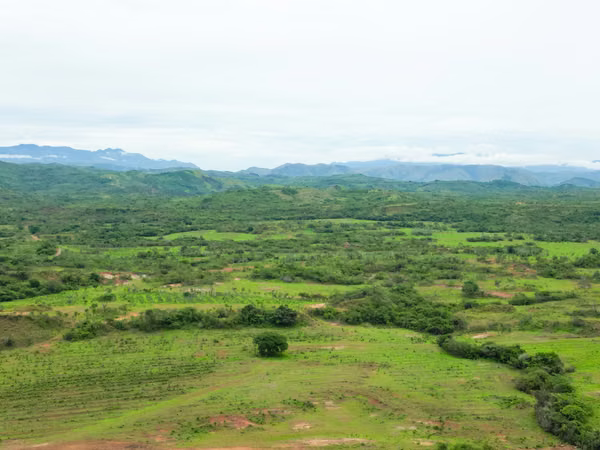 Farm for sale in Calobre, Veraguas, 500 hectares