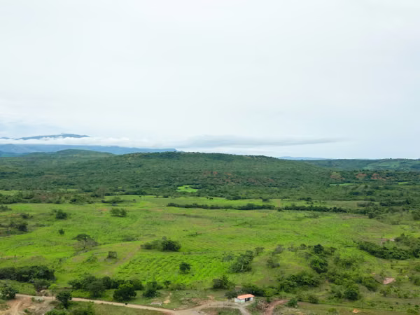 Farm for sale in Calobre, Veraguas, 500 hectares