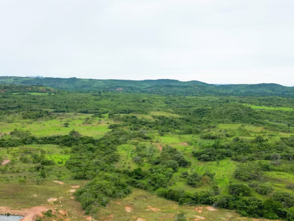 Farm for sale in Calobre, Veraguas, 500 hectares