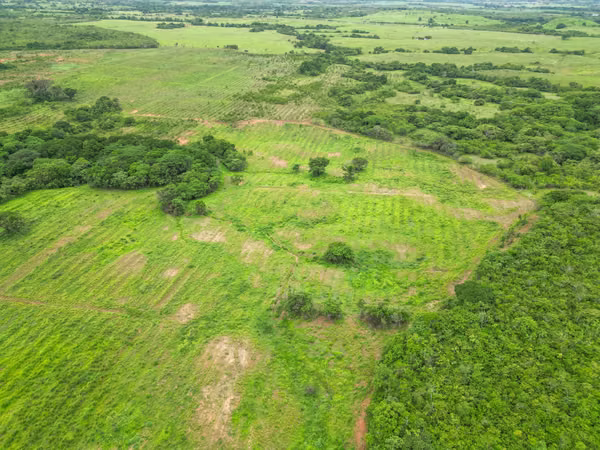 Farm for sale in San Francisco, Veraguas, 200 hectares