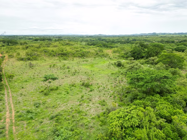 Farm for sale in San Francisco, Veraguas, 200 hectares