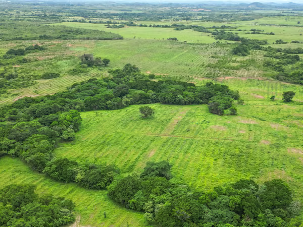 Farm for sale in San Francisco, Veraguas, 200 hectares