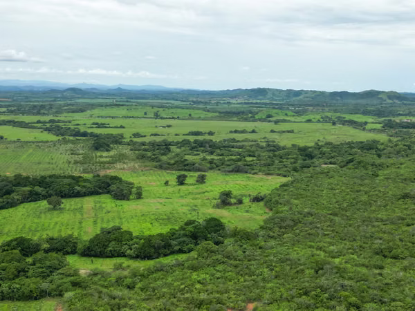 Farm for sale in San Francisco, Veraguas, 200 hectares