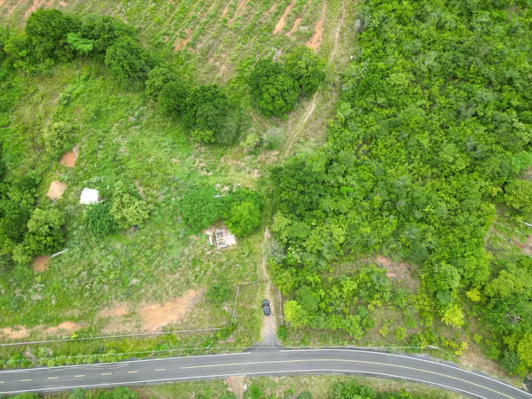 Farm for sale in San Francisco, Veraguas, 200 hectares