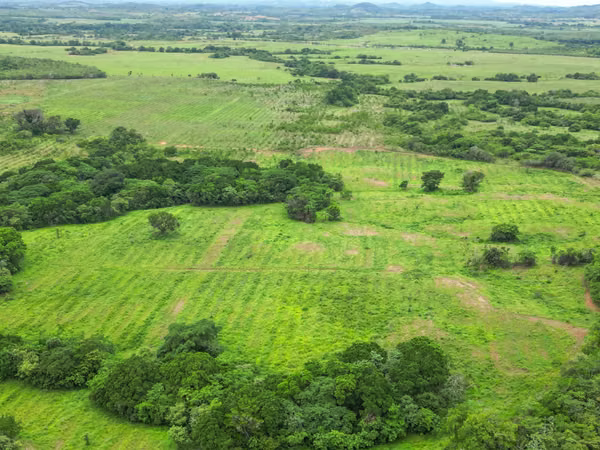 Farm for sale in San Francisco, Veraguas, 200 hectares