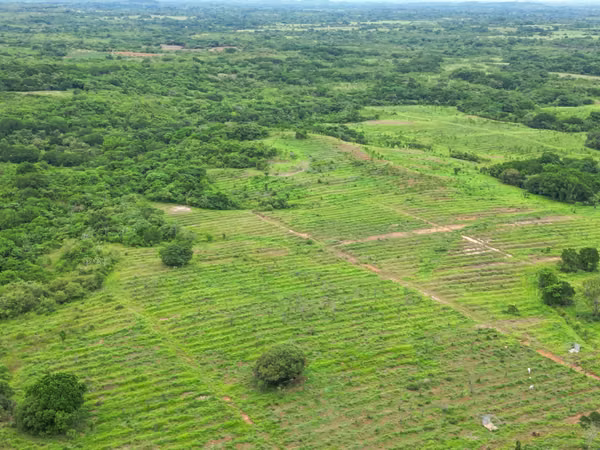Farm for sale in San Francisco, Veraguas, 200 hectares