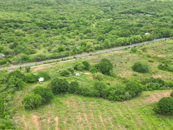 Farm for sale in San Francisco, Veraguas, 200 hectares