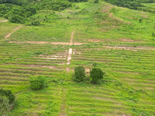 Farm for sale in San Francisco, Veraguas, 200 hectares