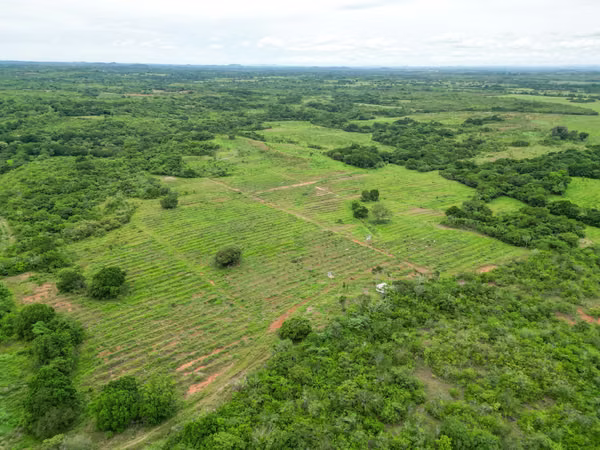 Farm for sale in San Francisco, Veraguas, 200 hectares