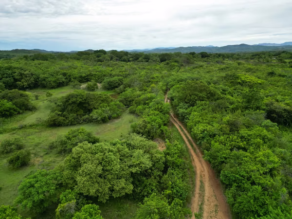 Farm for sale in San Francisco, Veraguas, 200 hectares