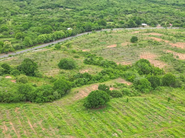 Farm for sale in San Francisco, Veraguas, 200 hectares