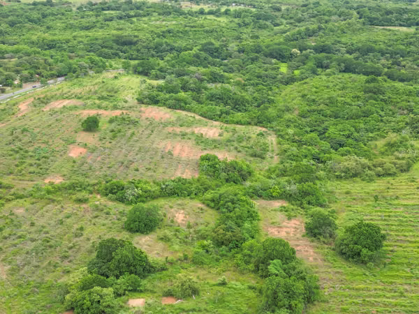 Farm for sale in San Francisco, Veraguas, 200 hectares