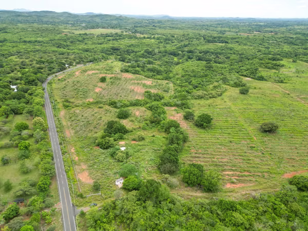 Farm for sale in San Francisco, Veraguas, 200 hectares