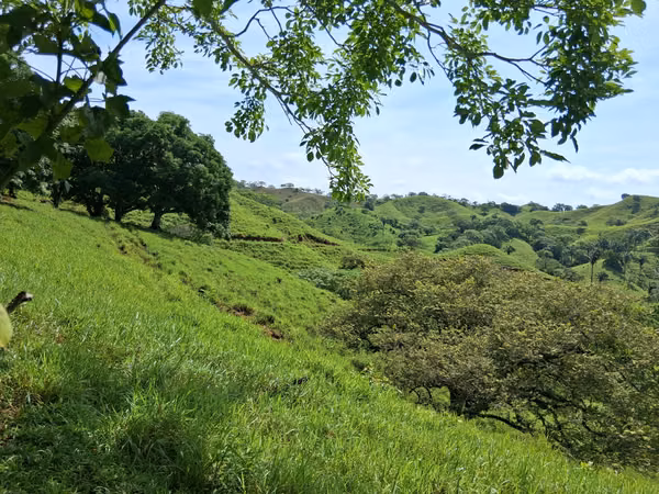 SE VENDE FINCA GANADERA.