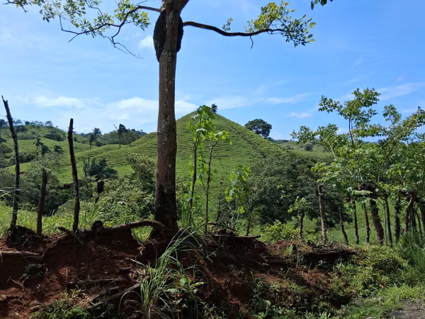 SE VENDE FINCA GANADERA.