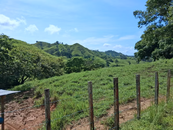 SE VENDE FINCA GANADERA.