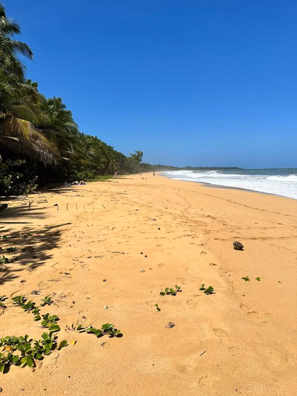 Venta de Terreno Frente al Mar en Playa Bluff, Bocas del Toro, 1,586m2