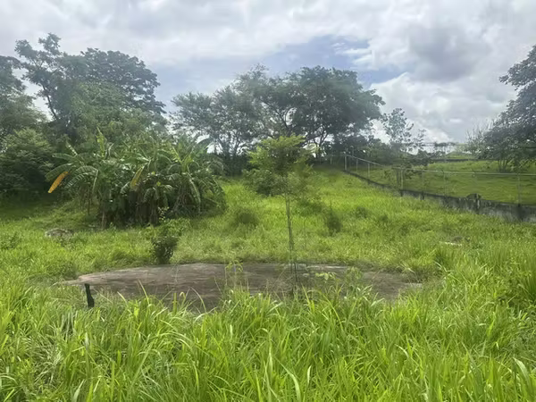 Land for Sale in Buenos Aires, Chame