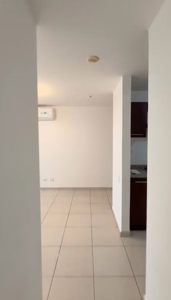 Rental Apartment in Tomba Muerto Ph Alsace