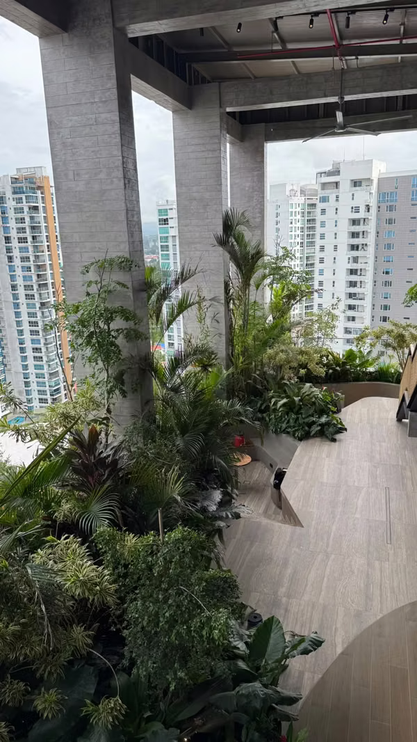 DOVLE Selva | Boutique Residences in Coco del Mar | Nature Meets Modern Living