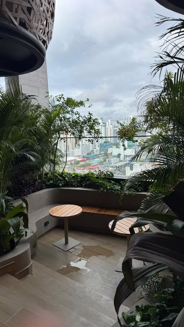 DOVLE Selva | Boutique Residences in Coco del Mar | Nature Meets Modern Living