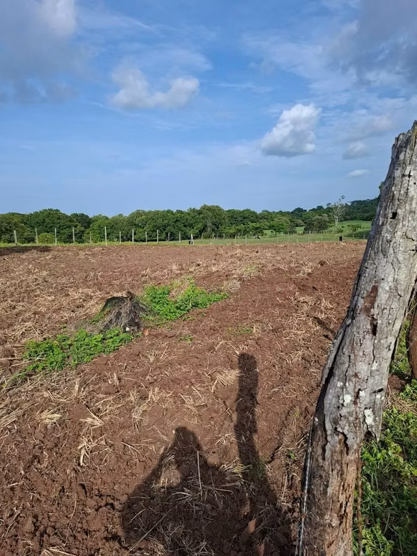 Vendo terreno en llano a fuera las tablas