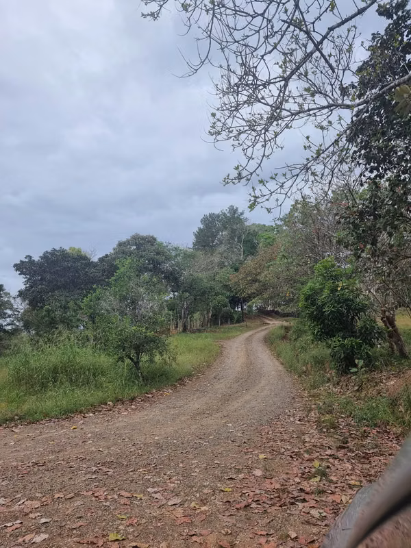 Se vende finca  166 hectáreas Cañita 1,000.00 por hectárea