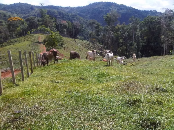 Se vende finca  166 hectáreas Cañita 1,000.00 por hectárea