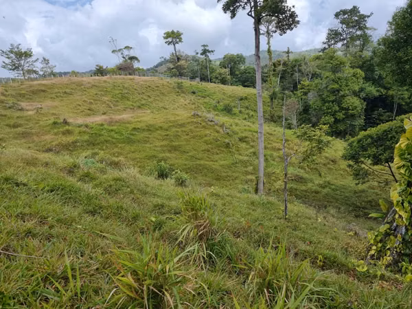 Se vende finca  166 hectáreas Cañita 1,000.00 por hectárea