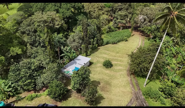 18 HECTARES OF CHILIBRE FOR SALE AT AUCTION IN FRONT