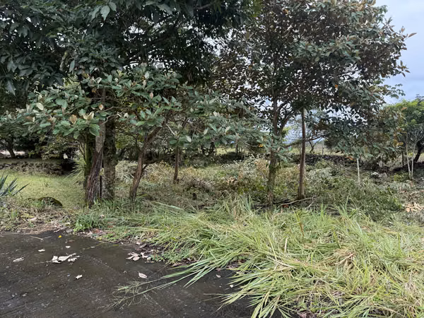 Buildable Lot in Alto Boquete Panama