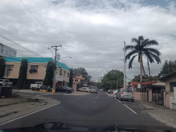 Local Ground Plant 4 air parkings $825 P Lefevre