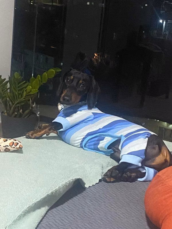 Busco una Hermosa Novia